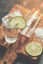 Tequila shot with lime and salt in the sunlight on a dark background. Selective focus, copy space.Toned image Royalty Free Stock Photo