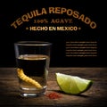 Tequila shot with lime and salt Royalty Free Stock Photo