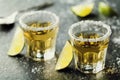 Tequila shot with lime and sea salt Royalty Free Stock Photo