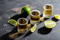 Tequila shot with lime and sea salt on stone background. luxury drink. Alcoholic drink concept. Mexican national drink