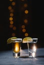 Tequila shot with lime . Selective focus Royalty Free Stock Photo