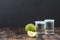 Tequila shot with lime slices and salt on wooden table/Tequila shots and lime slice on wooden table.With copy space on black Royalty Free Stock Photo
