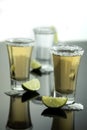 Tequila shot with salt and lemon Royalty Free Stock Photo