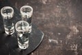 Tequila shots on the dark rustic background Royalty Free Stock Photo