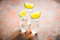 Tequila shots on the dark rustic background Royalty Free Stock Photo