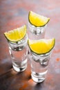 Tequila shots on the dark rustic background Royalty Free Stock Photo