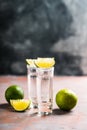 Tequila shots on the dark rustic background Royalty Free Stock Photo