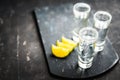 Tequila shots on the dark rustic background Royalty Free Stock Photo