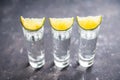 Tequila shots on the dark rustic background Royalty Free Stock Photo