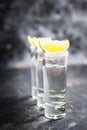 Tequila shots on the dark rustic background Royalty Free Stock Photo