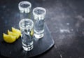 Tequila shots on the dark rustic background Royalty Free Stock Photo
