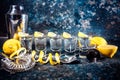 Tequila shots with lemon slices and cocktail elements. Alcoholic drinks in shot glasses served in pub or bar Royalty Free Stock Photo