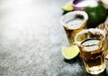 Tequila Shots with lime and salt Royalty Free Stock Photo