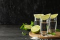 Tequila shots with lime slices, salt and mint Royalty Free Stock Photo