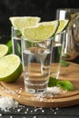 Tequila shots with lime slices, salt and mint Royalty Free Stock Photo