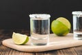 Tequila shots with lime slices and salt on wooden support /Tequila shots and lime slice on wooden table Royalty Free Stock Photo