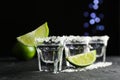 Tequila shots with salt and lime slices