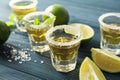 Tequila shots with salt, lime slices and mint Royalty Free Stock Photo