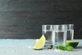 Tequila shots, salt, lime slices and mint on table Royalty Free Stock Photo