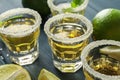 Tequila shots, salt, lime slices and mint on wood table Royalty Free Stock Photo