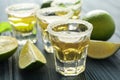 Tequila shots, salt, lime slices and mint on wood table Royalty Free Stock Photo