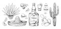 Tequila sketch. Hand drawn Mexican alcohol beverage made of agave with salt and lemon. Engraving alcoholic drink and