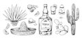 Tequila sketch. Hand drawn Mexican alcohol beverage made of agave with salt and lemon. Engraving alcoholic drink and cactuses.