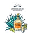 Tequila sketch vector illustration. Bar menu, label, package design. Bottle, shot glass, agave isolated on white