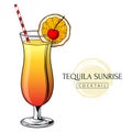 Tequila sunrise cocktail, hand drawn alcohol drink with orange slice and cherry. Vector illustration on white background