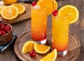 Tequila sunrise cocktail with orange slice and cherry