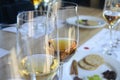Tequila tasting workshop, tequila glass, tequila shots Royalty Free Stock Photo