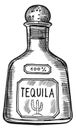 Tequilla bottle engraving. Mexican alcohol drink sketch