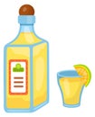 Tequilla bottle and glass. Cartoon mexican alcohol icon