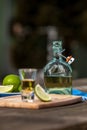 Tequilla inside glass and bottle Royalty Free Stock Photo