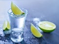 Tequilla Royalty Free Stock Photo