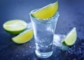 Tequilla Royalty Free Stock Photo