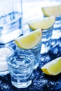 Tequilla Royalty Free Stock Photo