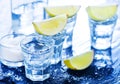 Tequilla Royalty Free Stock Photo