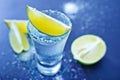 Tequilla Royalty Free Stock Photo