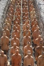 Tera Cota Soldiers in Formation in a Trench Royalty Free Stock Photo