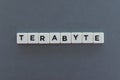 Terabyte word made of square letter word on grey background