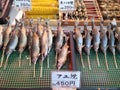 Ayu or sweet fish in Teradomari fish market