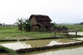 Terai village in Nepal Royalty Free Stock Photo