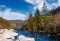 Tereblya river of Carpathian mountains in winter