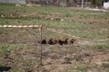 Terelle, Italy - March 15, 2009: The small sinkhole in the Terelle countryside in the province of Frosinone Royalty Free Stock Photo