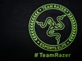 Terengganu, Malaysia - 21 September 2023 : Green team razer logo. Razer esports elite logo on black t-shirt.