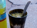 Terere, drink of Paraguai and Argentina