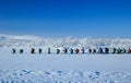 Teriberka, Murmansk / Russia - 1-30 of March 2018: Arctic Russian North Expedition adventures trip camp for exploration, winter