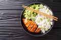 Teriyaki chicken with rice garnish and salad close-up on a plate. Horizontal top view Royalty Free Stock Photo