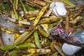 MedellÃÆÃÂ­n, Antioquia / Colombia. March 17, 2019. Garbage bin full of organic garbage. Royalty Free Stock Photo